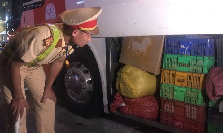 Hàng trăm con rắn hoang dã 'vi vu' trên xe khách