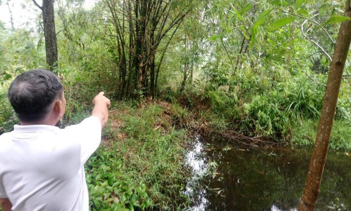 Cấp đất có nguồn gốc rừng phòng hộ cho hàng loạt cán bộ huyện ở Huế: Lộ hàng loạt bất thường