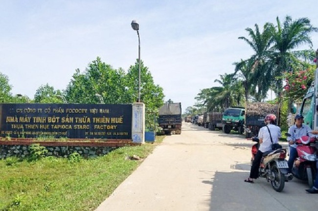Phạt gần 500 triệu đồng, đình chỉ nhà máy tinh bột sắn xả thải gây ô nhiễm