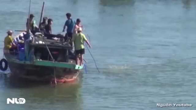 Đình chỉ một giám đốc, khởi tố vụ án chìm tàu trên sông Hàn