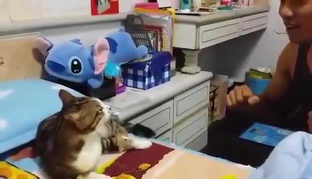 Cười vỡ bụng clip mèo luyện hát opera ‘thần sầu’