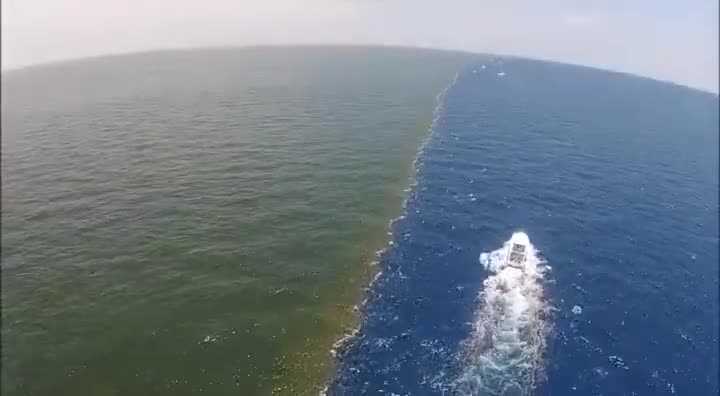 Clip: Chiêm ngưỡng điều kỳ diệu nơi 2 vùng biển gặp gỡ