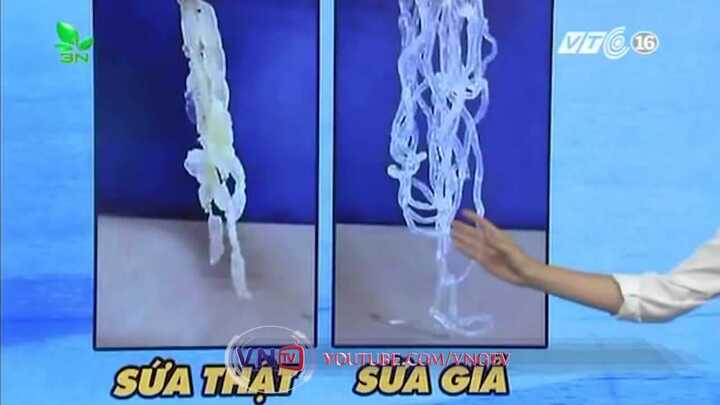 Cách phân biệt sứa thật, sứa giả tránh bệnh tật