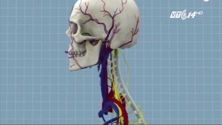 7 người Việt Nam tình nguyện phẫu thuật ghép đầu