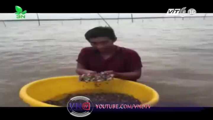 Táo tợn mang mã tấu đi cướp sò huyết ở Cà Mau