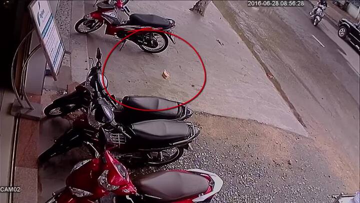 Bị nhắc nhở 'mỗi người chỉ lấy 1 ổ', tức tối ném văng 2 bánh mỳ từ thiện