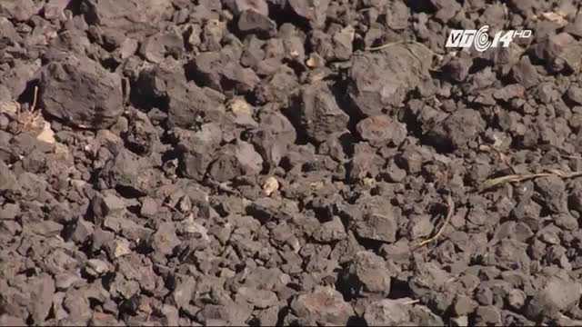 Tiếp tục phát hiện 10 tấn bùn đen của Formosa chôn lấp trong công viên