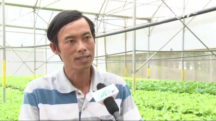 Thành tỷ phú nhờ trồng rau thủy canh