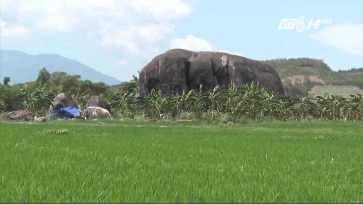 Bí ẩn ngôi làng liên tục bị sét đánh ở Khánh Hòa