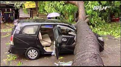 Hà Nội: Giải cứu ôtô bị cây cổ thụ đè bẹp trên phố Núi Trúc