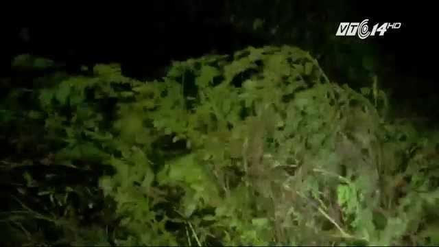 Video: Bão số 1 tấn công dữ dội vào Nam Định trong đêm