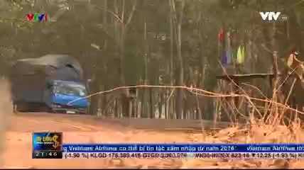 Xem lại loạt phóng sự điều tra phá rừng ở Đắk Lắk do VTV24 thực hiện đang gây tranh cãi