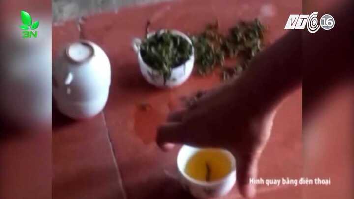 Rùng mình công nghệ trộn mì chính tạo độ ngọt cho chè búp Thái Nguyên