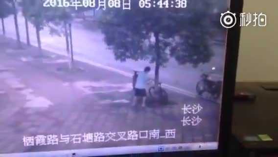 'Siêu trộm thế kỷ' hì hục đốn cây để... 'chôm' xe đạp