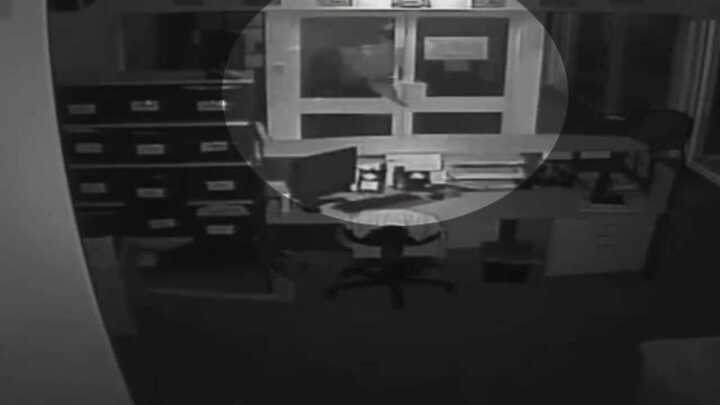 4 thanh niên cởi trần thả 3 con cá sấu dài 2 mét vào trường học trong đêm