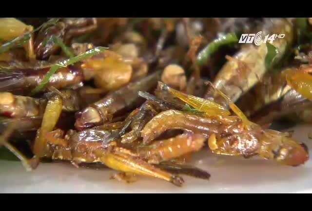 Thơm ngon cào cào mùa lúa trổ