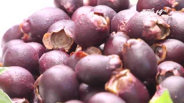 Công dụng kỳ diệu từ nước ép quả sim