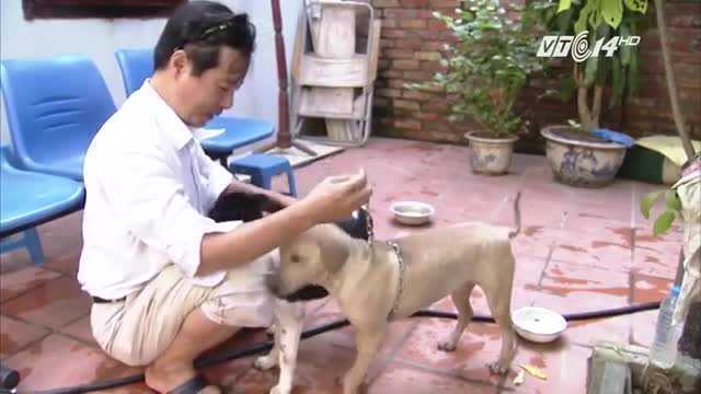 Kinh nghiệm chọn chó khôn giữ nhà