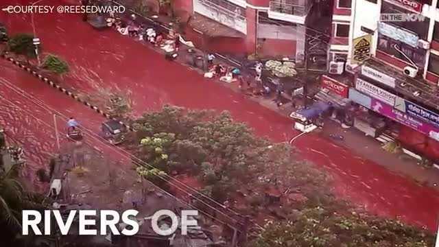 Dòng sông máu đỏ ngòm len lỏi trong thành phố sau lễ hội