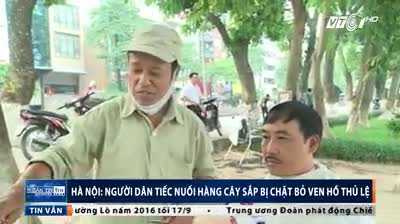 Người Hà Nội tiếc nuối hàng cây cổ thụ sắp bị chặt bỏ ven hồ Thủ Lệ
