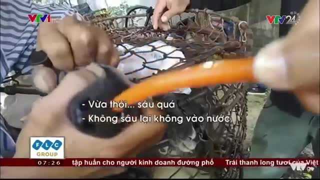Rùng mình cảnh lái buôn bơm nước bẩn dưới cống rãnh để tăng trọng cho chó