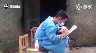 Đây có thể là công việc hạnh phúc đáng mơ ước nhất thế giới