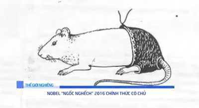 Cười vỡ bụng những nghiên cứu khoa học hài hước nhất năm 2016