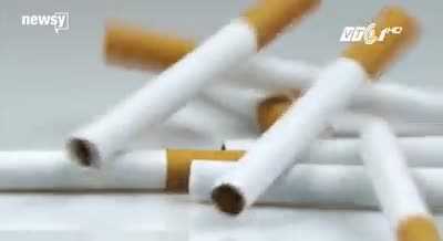 Hút thuốc lá có thể làm hỏng ADN vĩnh viễn