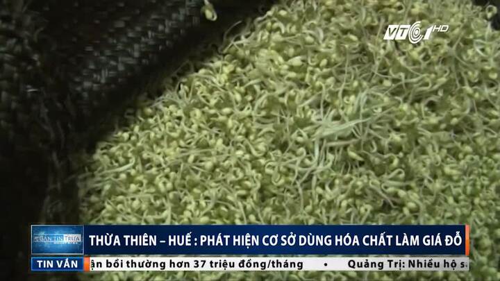 Bắt quả tang cơ sở dùng hóa chất lạ 'phù phép' giá đỗ lớn nhanh như thổi