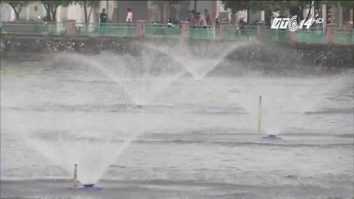 Hà Nội đã dùng công nghệ đặc biệt gì để cứu cá Hồ Tây?