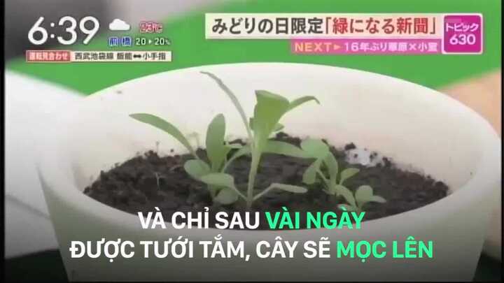 Phát minh siêu 'độc' chỉ có ở Nhật Bản: Tờ báo bỏ đi nảy mầm thành cây xanh