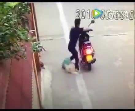 Chủ nhà lao ra cứu 2 chú chó bị cẩu tặc đánh bả giãy giụa trong bao