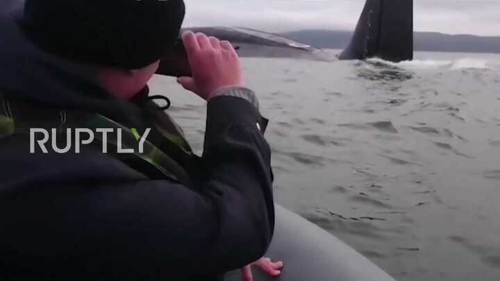 Ngư dân sốc nặng khi thấy tàu ngầm hạt nhân trồi lên cạnh thuyền