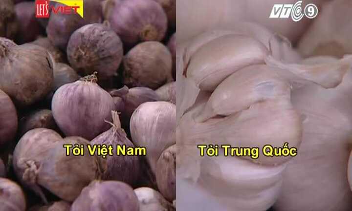 Phân biệt tỏi Việt Nam và tỏi Trung Quốc
