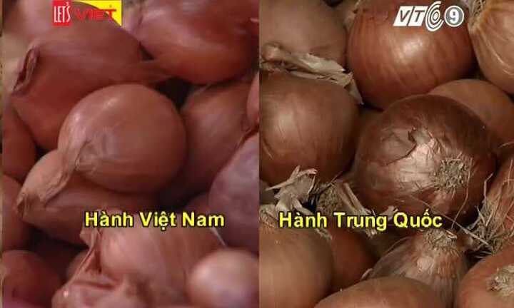 Phân biệt hành khô Việt Nam và Trung Quốc