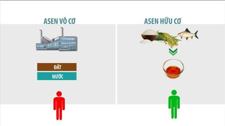 Nước mắm nhiễm arsen hữu cơ: Chuyên gia khẳng định không độc