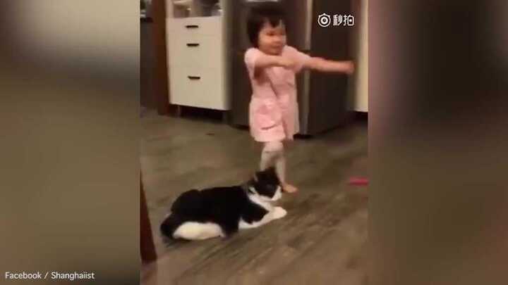 Mèo láu cá ngáng chân khiến em bé ngã