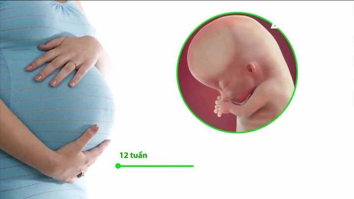 Thai phụ cần làm gì khi dịch Zika bùng phát?