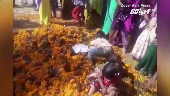 Nghi lễ lạ: Bố mẹ thả con vào... phân bò để lấy may