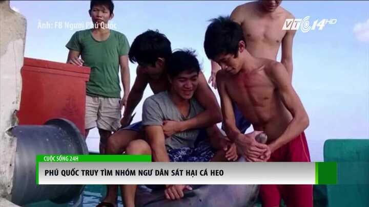 Truy tìm nhóm thanh niên sát hại cá heo ở Phú Quốc