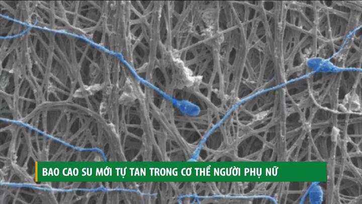 Phát minh bao cao su tự tan trong cơ thể phụ nữ