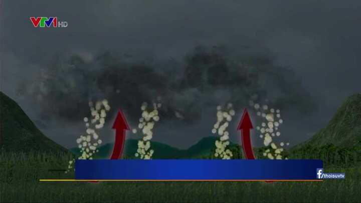 Kỳ lạ 'bão hen suyễn' gây chết người ở Australia