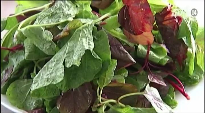 Công dụng chữa bệnh tuyệt vời của rau dền