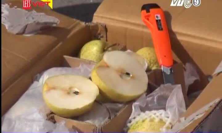 Clip: Tiêu hủy gần 4 tấn lê gắn nhãn Trung Quốc đang trên đường về Hà Nội