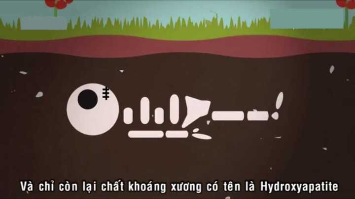 Clip: Cơ thể con người ra sao sau khi chết đi?