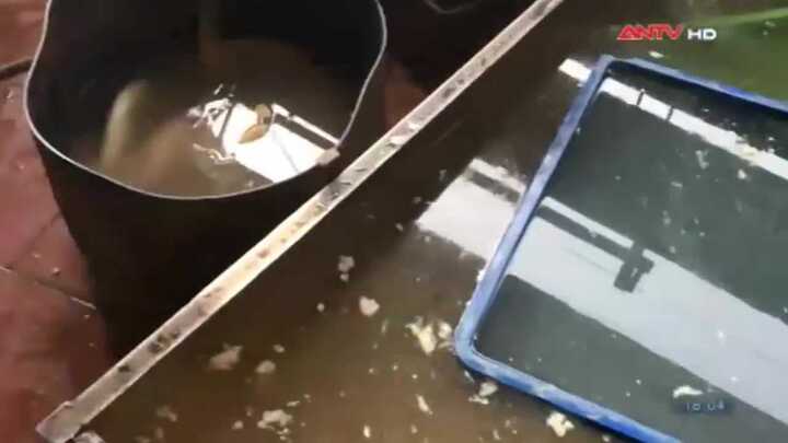 Clip: Phát hiện gần 1 tấn nội tạng bẩn 'găm' chờ Tết ở Hà Nội