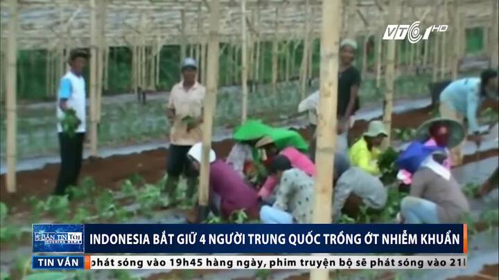 Indonesia bắt 4 người Trung Quốc trồng 'vũ khí sinh học' gần thủ đô Jarkarta