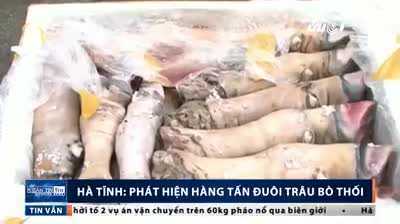 Bắt giữ hàng tấn đuôi, chân trâu bò thối trên đường đi tiêu thụ