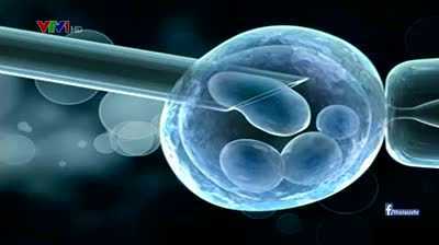 26 phụ nữ bị thụ tinh nhầm tinh trùng rúng động Hà Lan