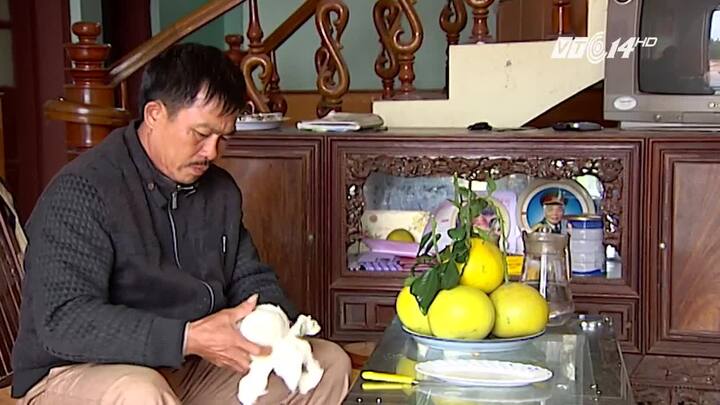 Cách chọn bưởi Diễn chuẩn, ngon để ăn Tết